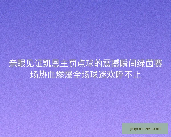 亲眼见证凯恩主罚点球的震撼瞬间绿茵赛场热血燃爆全场球迷欢呼不止